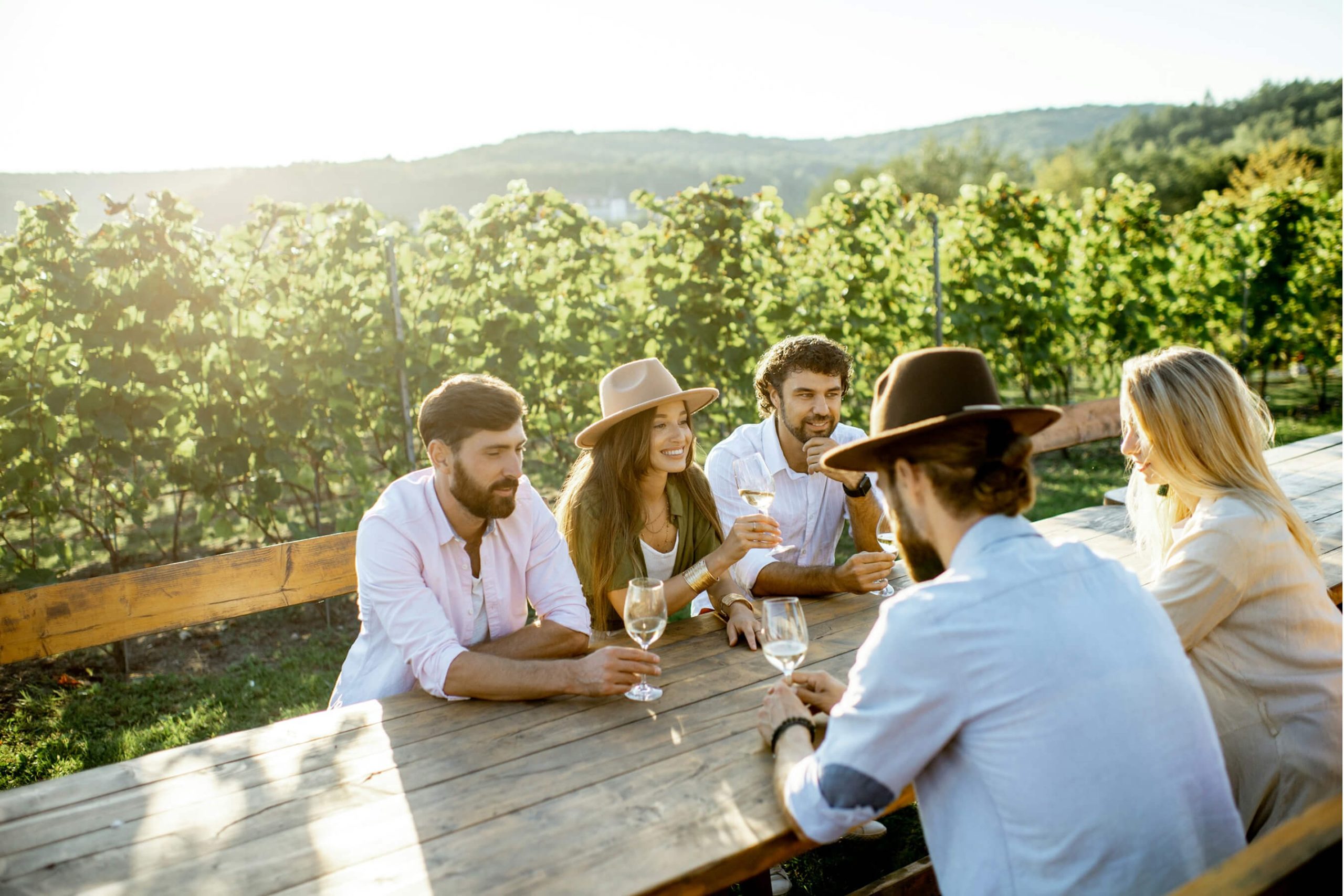 Wine Lovers Rejoice: Your Gold Coast Wineries Guide